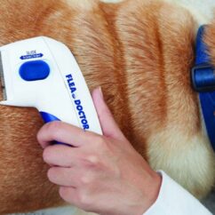 kirbukamm elektriline lemmikloomale Pruun koer keda kirbukoguja kammiga kammitakse.