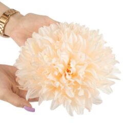 Ilus suur kreemjas toonis dekoratiiv vesiroos inimese käes.