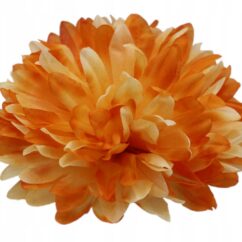 Vesiroos oranz heledate tippudega.